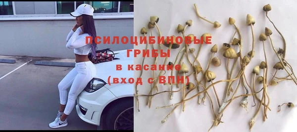 spice Дмитриев