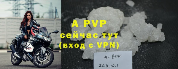 молекула духа Дмитровск