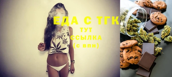 spice Дмитриев