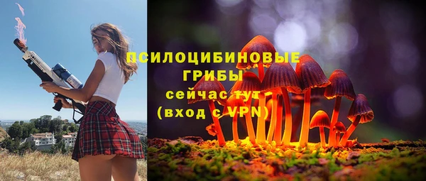 синтетический гашиш Дмитров