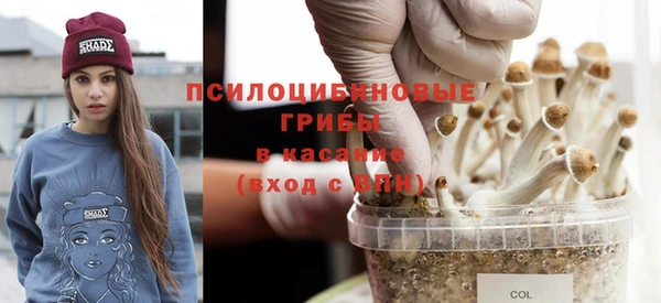 jwh Гусиноозёрск
