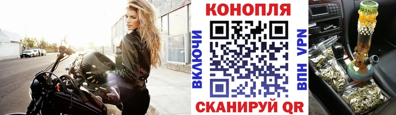 Купить Рудня Бошки марихуана Ganja